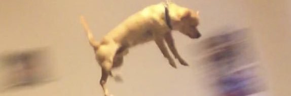 maryycxc's profile banner image