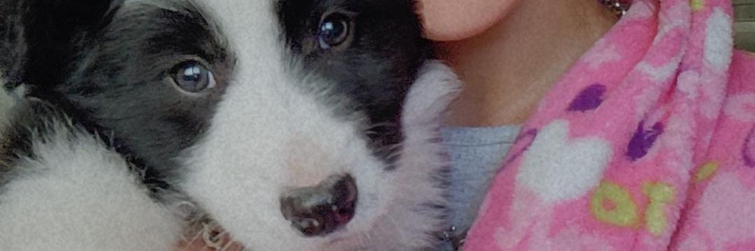PSchBtt_'s profile banner image