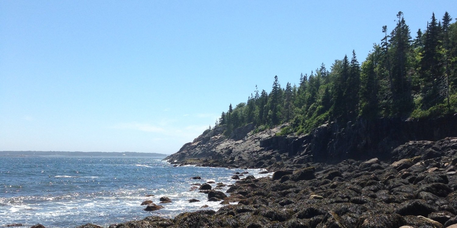MidWestHolly's profile banner image