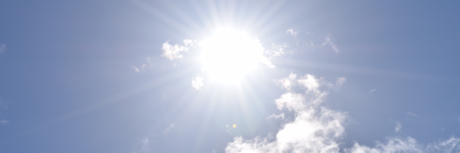 sue ranger (she/her) banner