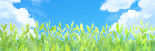 green_tea0180's profile banner image