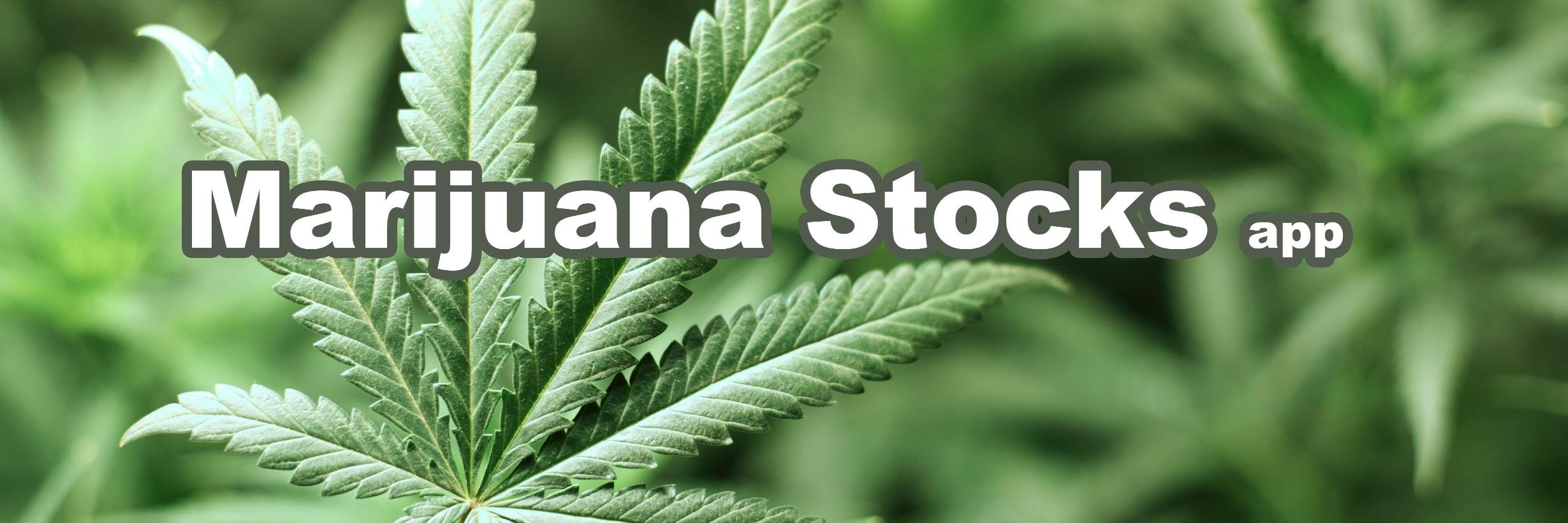 MJSTOCKSAPP's profile banner image