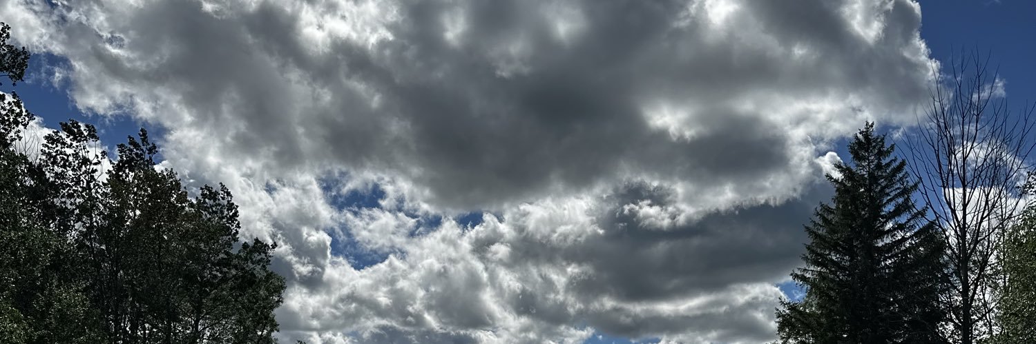 fsimsic's profile banner image