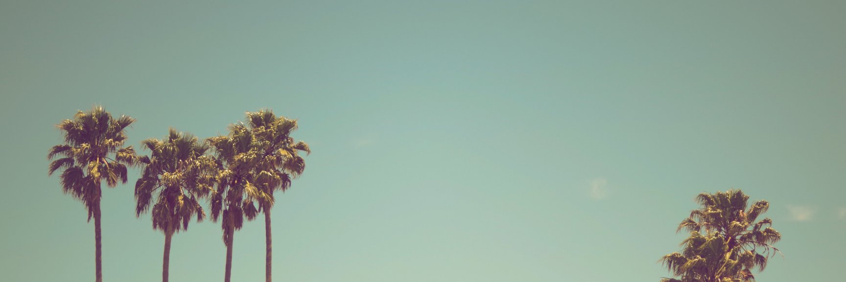 olhapramimchega's profile banner image