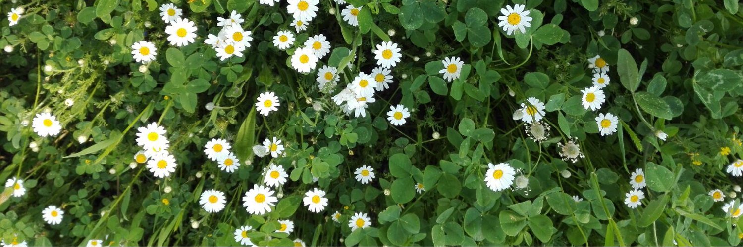 MarinaLbt's profile banner image