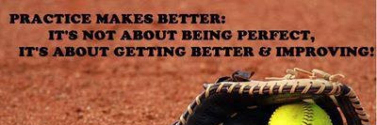 Perry Softball banner