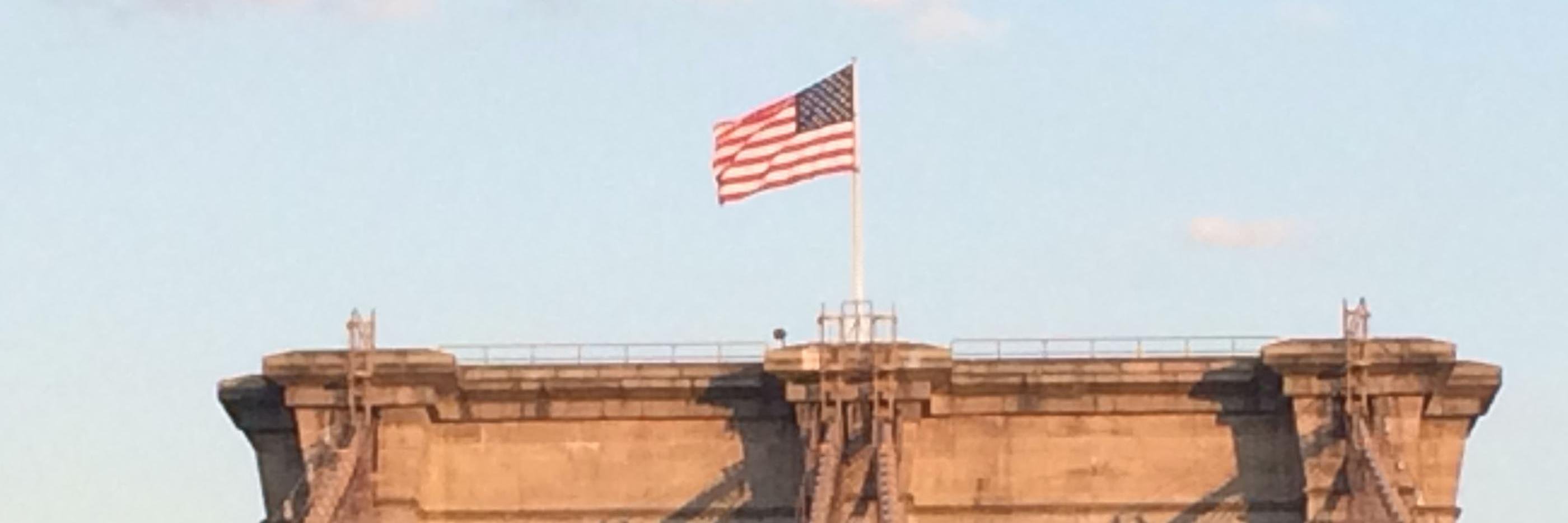 🇺🇸 Donald Doobs 🇺🇸 banner