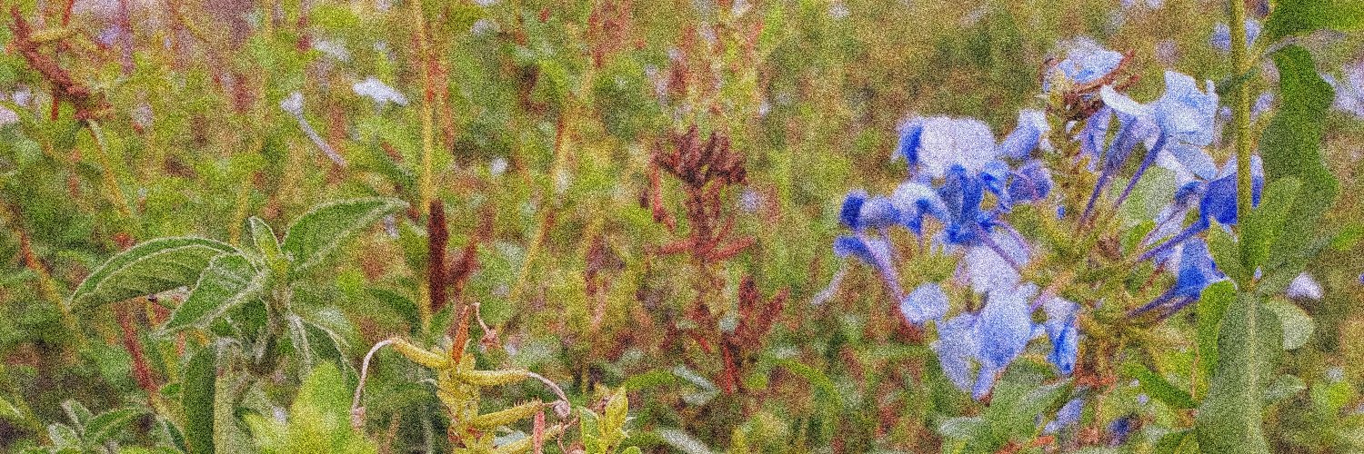 cincopalavras's profile banner image