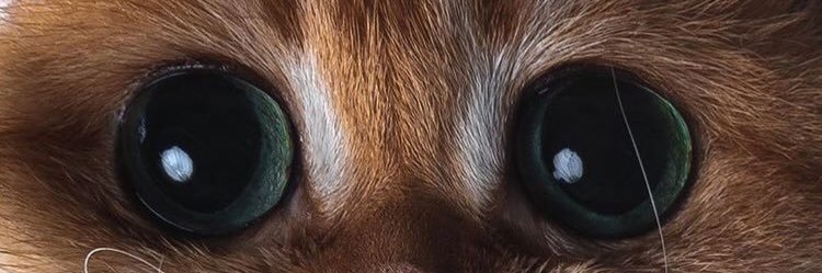 syedaimran's profile banner image