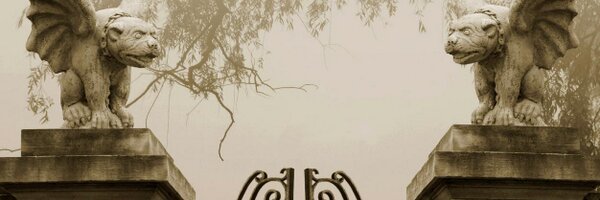 janzand Profile Banner