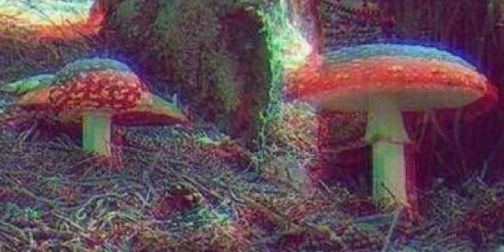 LetsJustTrip's profile banner image