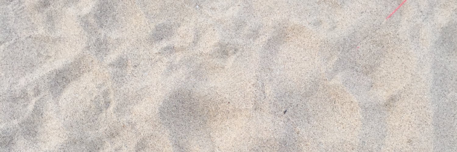 maricapii's profile banner image