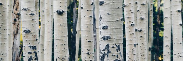 STEWest Profile Banner