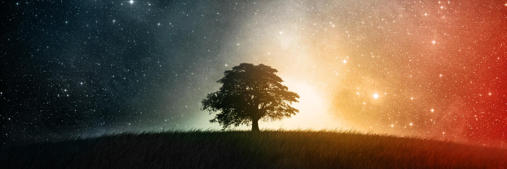 jonnygsal's profile banner image