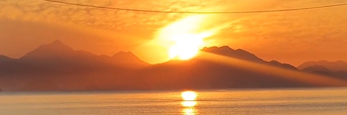 eumariavm's profile banner image
