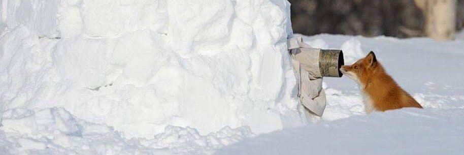 luised_hu's profile banner image