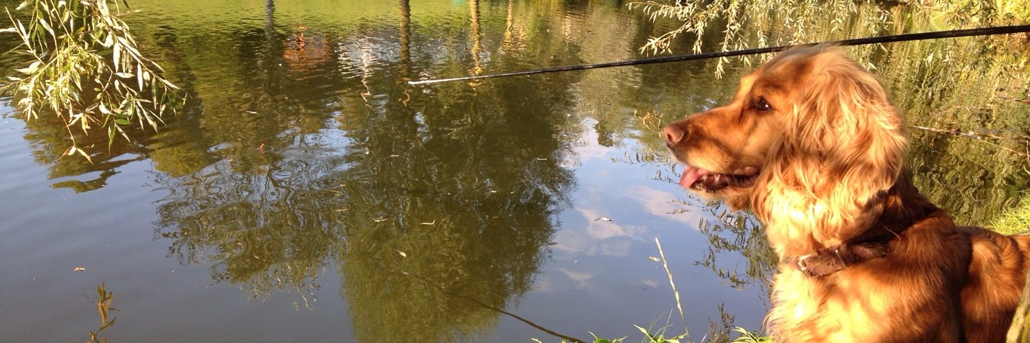 CharlyBeasley's profile banner image