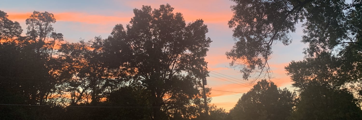 carly_berlon's profile banner image