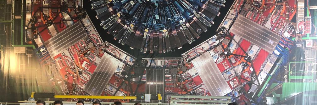 Freya Blekman banner