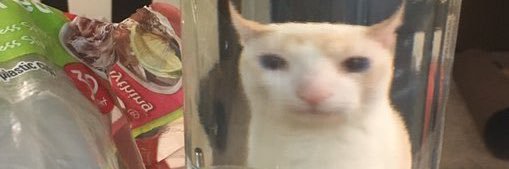 𝐂𝐡𝐨𝐤𝐨𝐳 banner