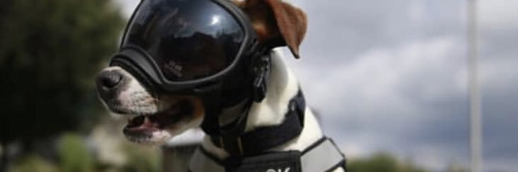 LGELVEZ's profile banner image