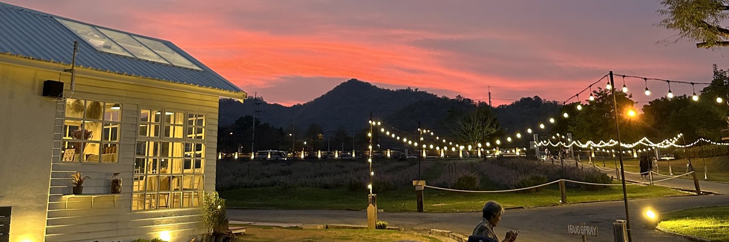 sofeaelysha's profile banner image