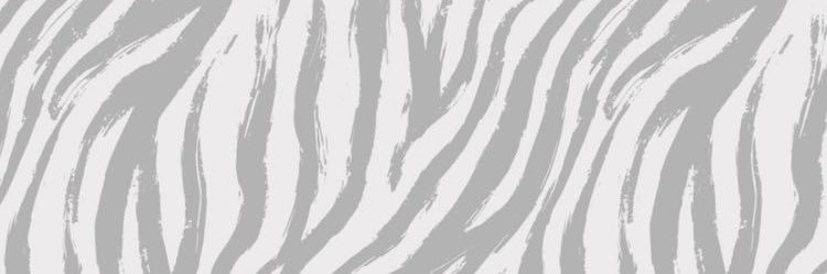 paulirojp_'s profile banner image