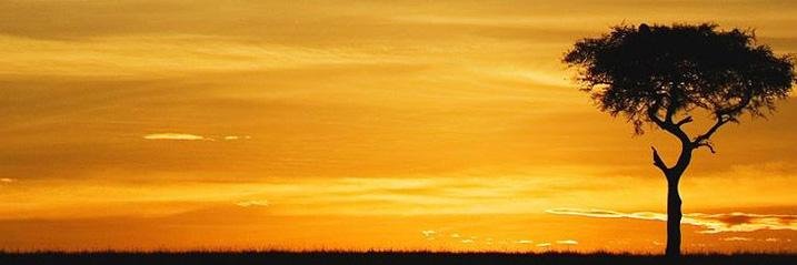 MikroSvetNet's profile banner image