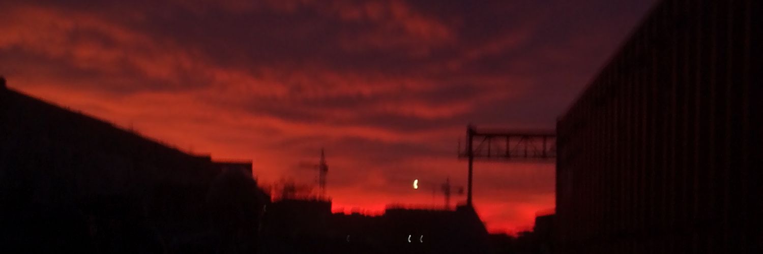 Ігор Маск banner