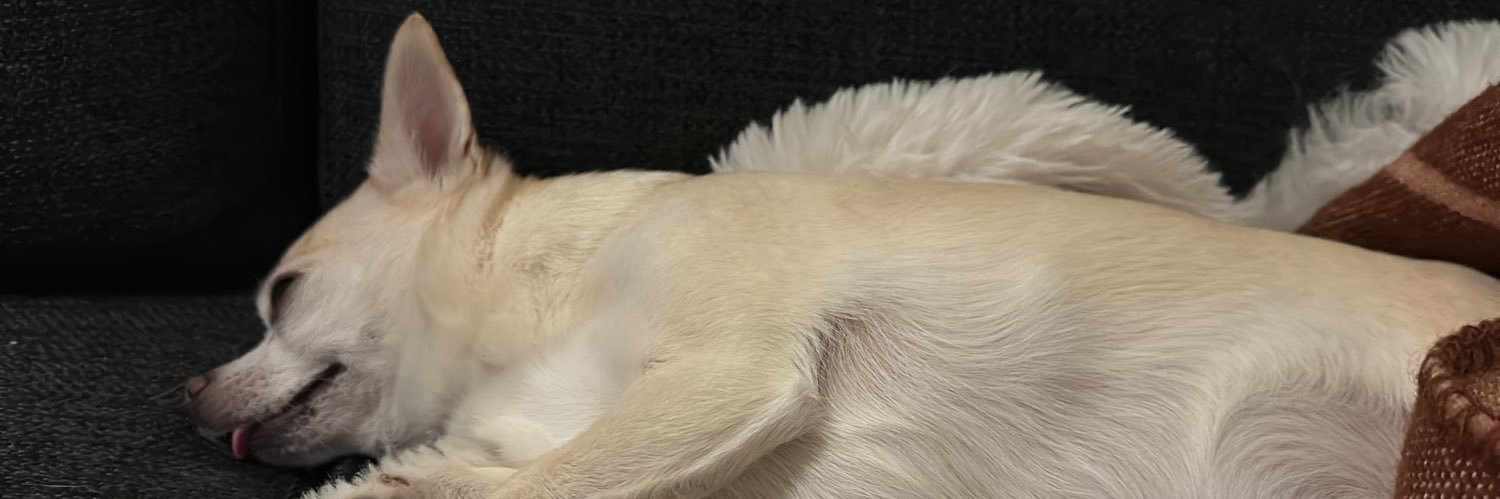 kobbikobb's profile banner image