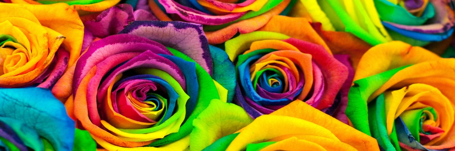 cadoyle62's profile banner image