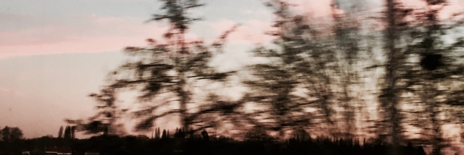anoukwinant's profile banner image