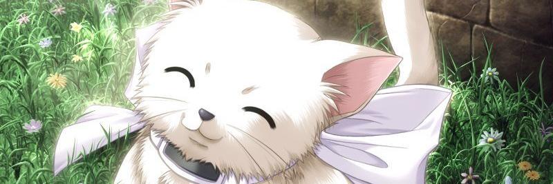Kathil0sh's profile banner image