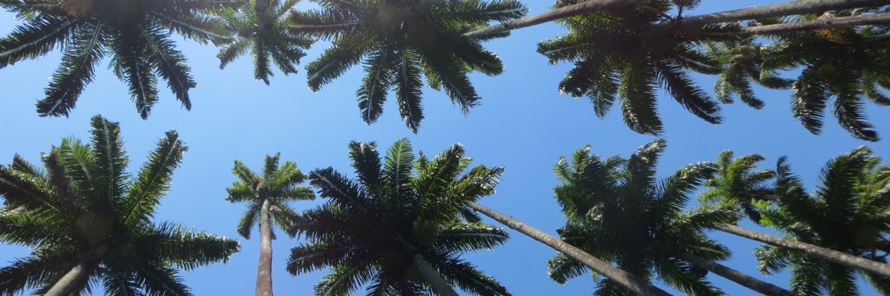 Jamie Sampson (Adkins) 🩵 banner