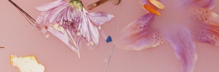 realcaleid's profile banner image