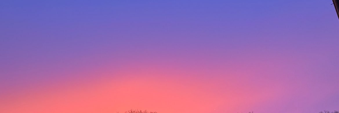 ēlani🧍🏾‍♀️🍉 banner