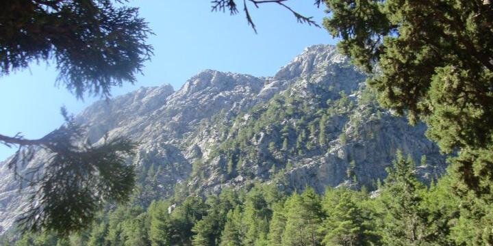 BenSebThompson's profile banner image