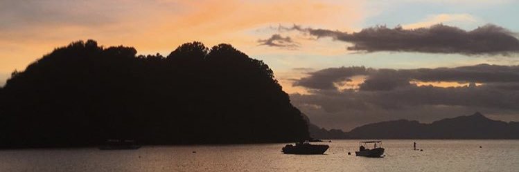 garodca's profile banner image