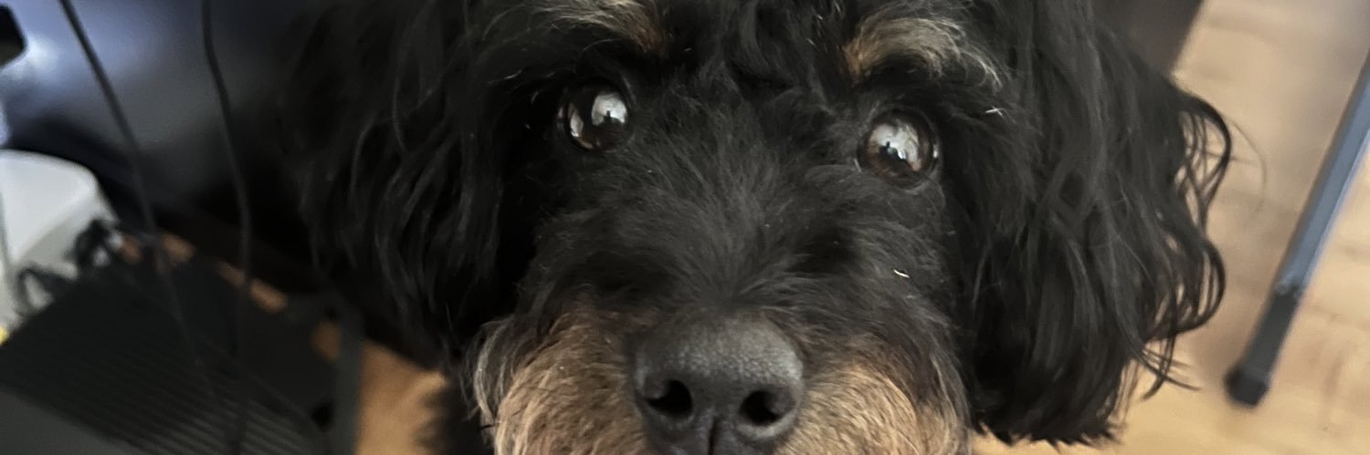 Willrock42's profile banner image