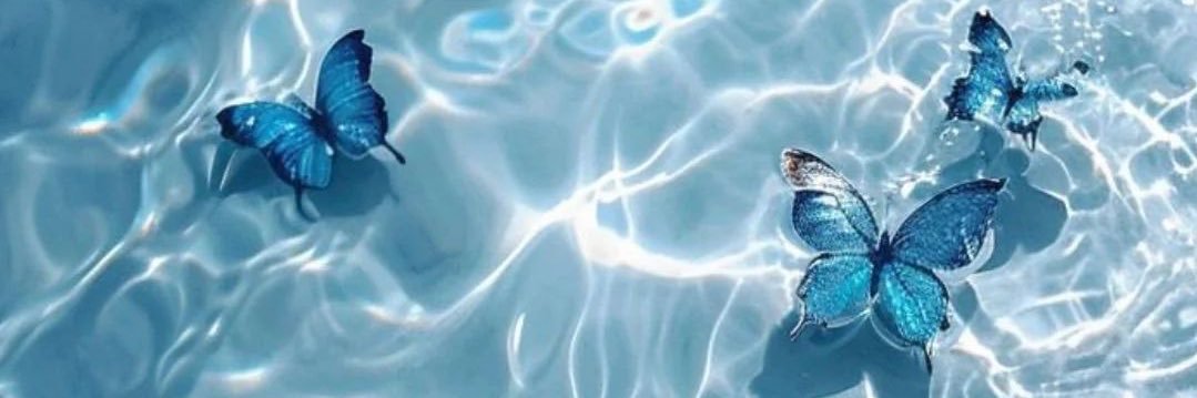 nicu_sued's profile banner image