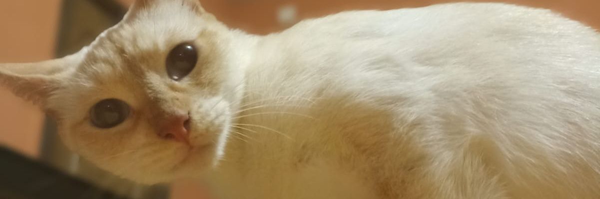 DannyWKinder's profile banner image