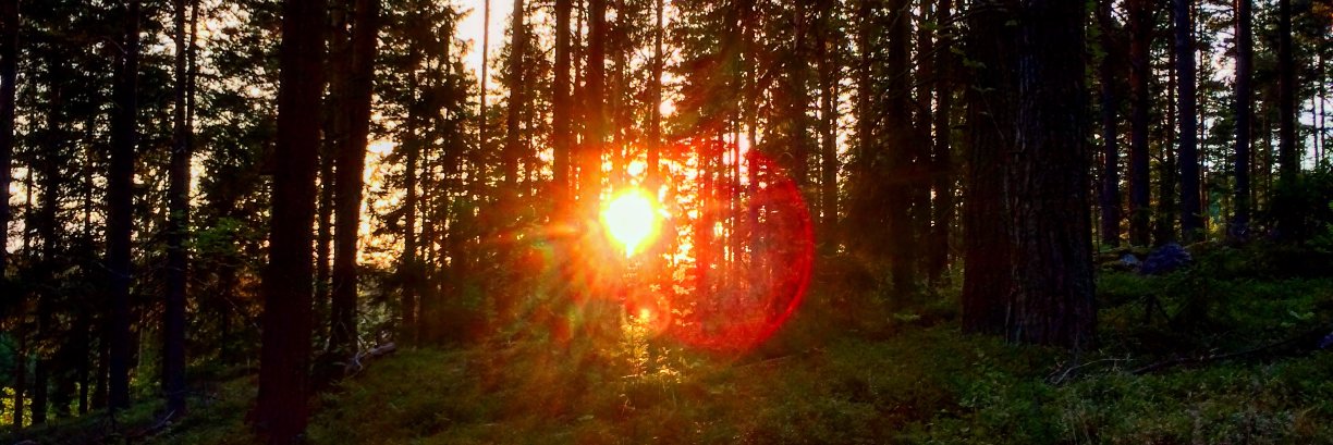 bex_oak's profile banner image