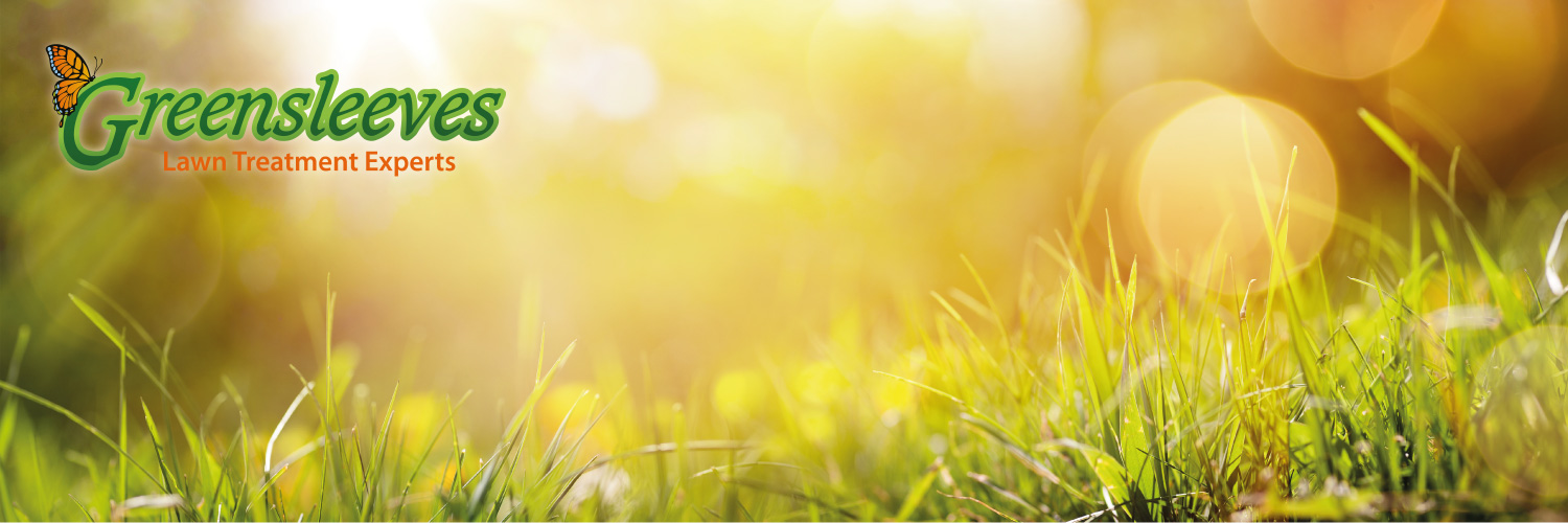 GSNWLancs's profile banner image