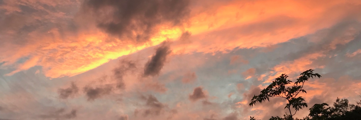 茶杯（伊方原発を廃炉にするために） banner