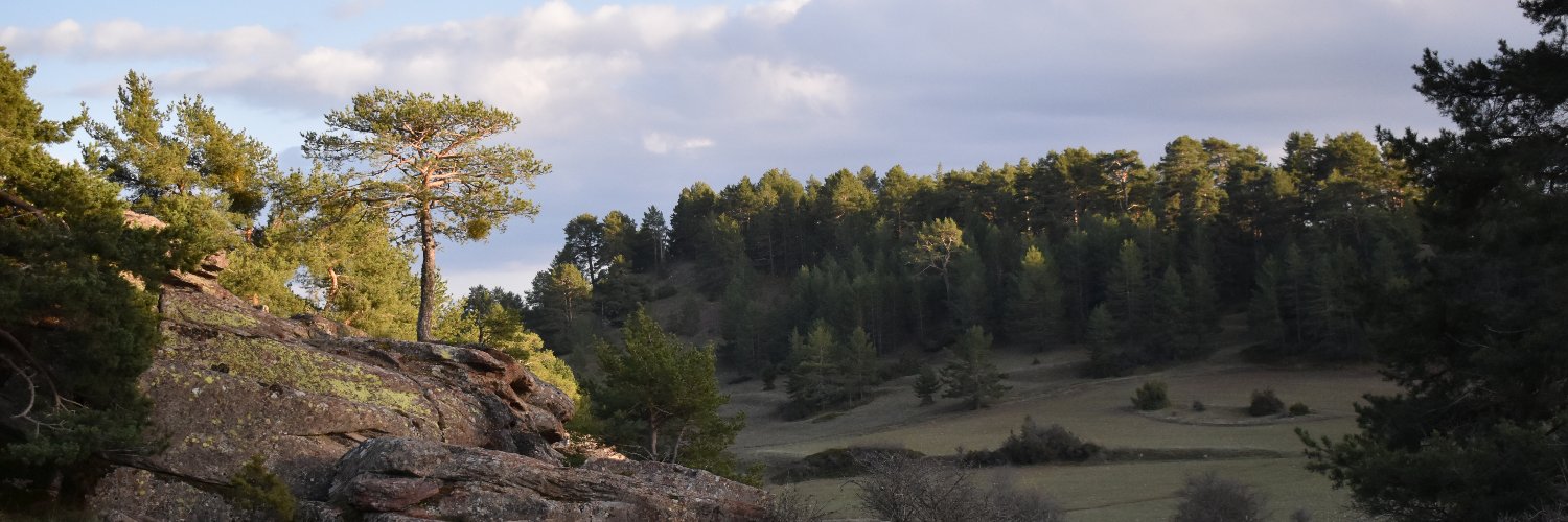 rodrirrodri's profile banner image