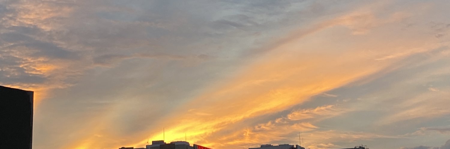 bngruste's profile banner image