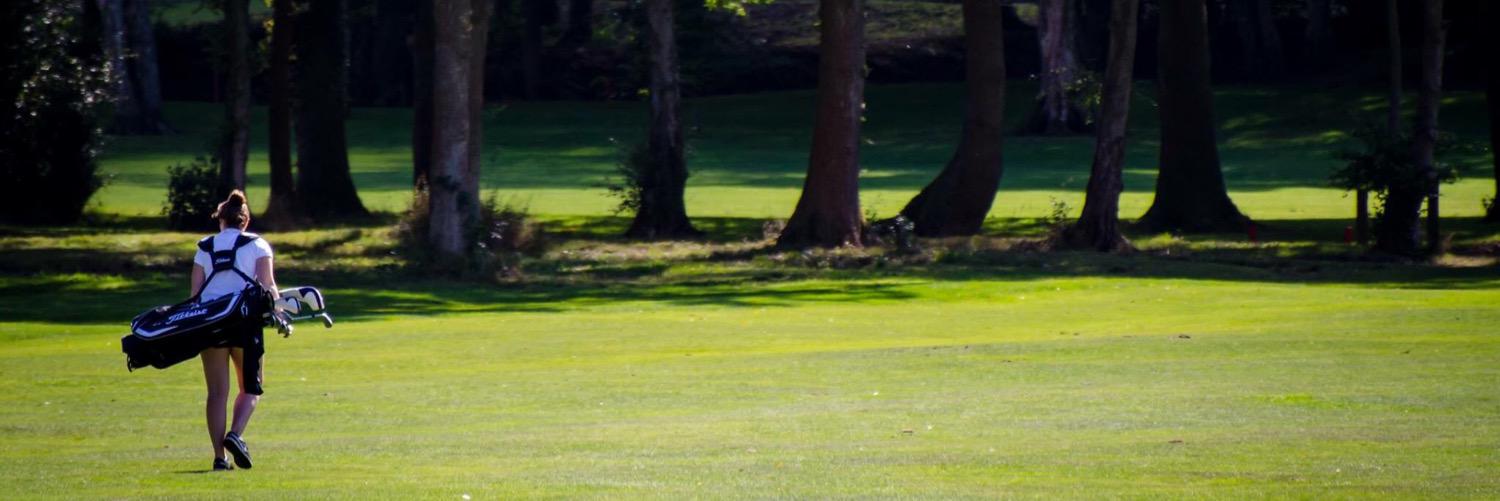 Sarahharbs's profile banner image