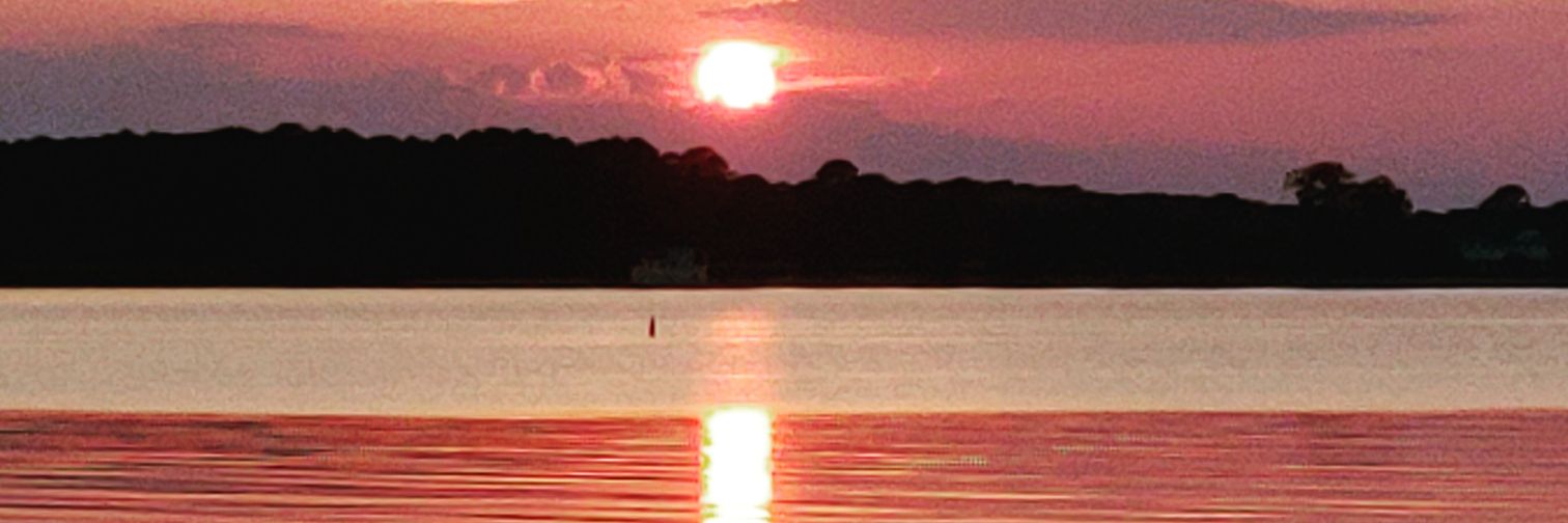 JRBachman's profile banner image
