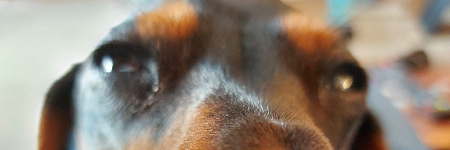 stuart galsworthy banner