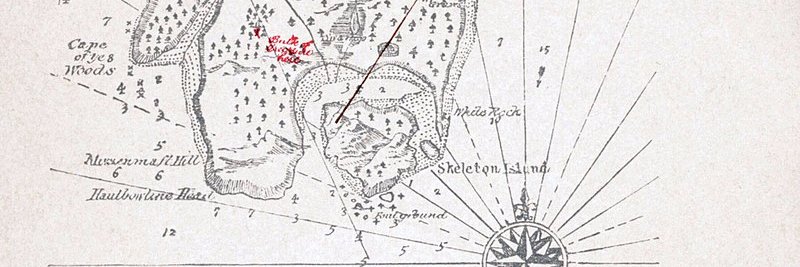 R.L. Stevenson banner